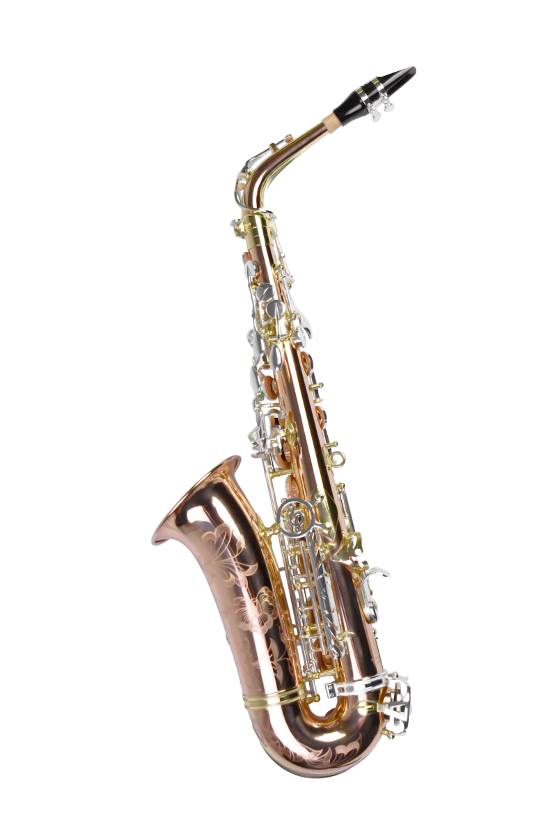 PMSA-600 Venus - 图片 2